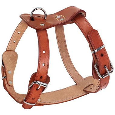 Harness Anjing Kulit Kustom