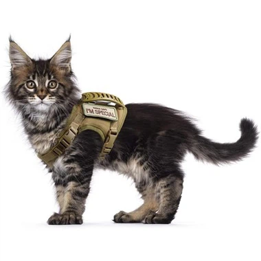 Harness Kucing Taktis