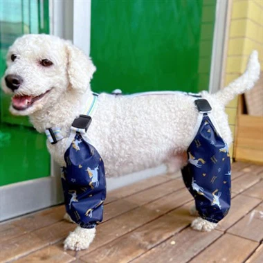 Celana Tahan Air Berkaki Empat Anjing Massal