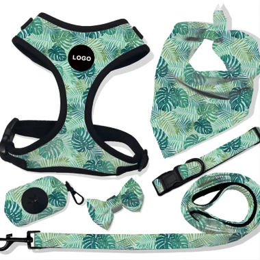 Set Harness Anjing Neoprene Kerah Tali Anjing Anak Anjing Kustom Dengan Dispenser Tas Kotoran Anjing Dan Dasi Kupu-kupu Bandana Anjing
